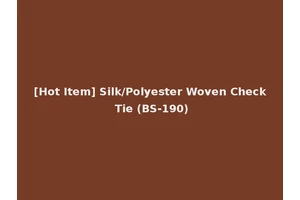 [Hot Item] Silk/Polyester Woven Check Tie (BS-190)
