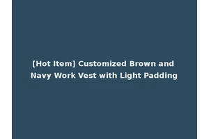 [Hot Item] Customized Brown and Navy Work Vest with Light Padding