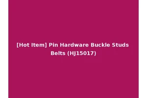 [Hot Item] Pin Hardware Buckle Studs Belts (HJ15017)