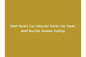 [Hot Item] Car Interior Parts Car Seat Belt Buckle Holder Safety