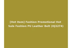 [Hot Item] Fashion Promotional Hot Sale Fashion PU Leather Belt (HJ3274)