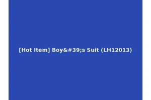 [Hot Item] Boy's Suit (LH12013)