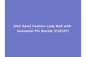 [Hot Item] Fashion Lady Belt with Gunmetal Pin Buckle (E16107)
