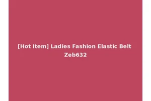 [Hot Item] Ladies Fashion Elastic Belt Zeb632