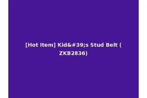 [Hot Item] Kid's Stud Belt (ZKB2836)
