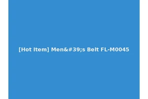 [Hot Item] Men's Belt FL-M0045