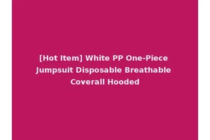 [Hot Item] White PP One-Piece Jumpsuit Disposable Breathable Coverall Hooded