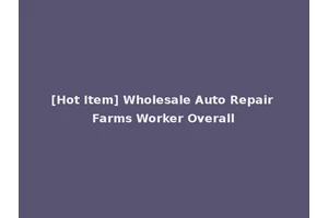 [Hot Item] Wholesale Auto Repair Farms Worker Overall