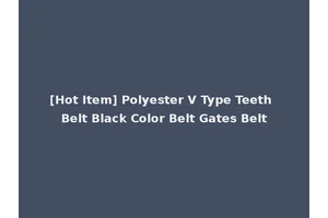 [Hot Item] Polyester V Type Teeth Belt Black Color Belt Gates Belt