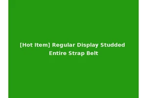 [Hot Item] Regular Display Studded Entire Strap Belt