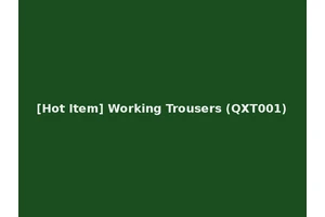 [Hot Item] Working Trousers (QXT001)