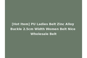 [Hot Item] PU Ladies Belt Zinc Alloy Buckle 2.5cm Width Women Belt Nice Wholesale Belt