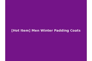 [Hot Item] Men Winter Padding Coats