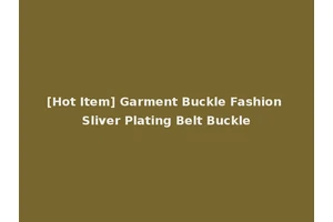 [Hot Item] Garment Buckle Fashion Sliver Plating Belt Buckle