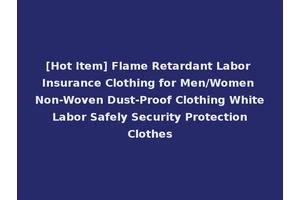 [Hot Item] Flame Retardant Labor Insurance Clothing for Men/Women Non-Woven Dust-Proof Clothing White Labor Safely Security Protection Clothes