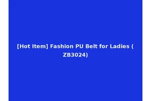 [Hot Item] Fashion PU Belt for Ladies (ZB3024)