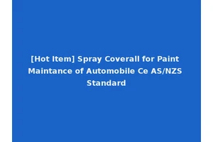 [Hot Item] Spray Coverall for Paint Maintance of Automobile Ce AS/NZS Standard