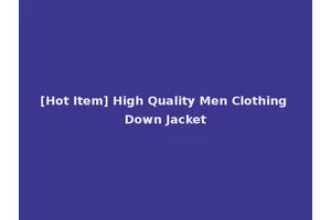 [Hot Item] High Quality Men Clothing Down Jacket