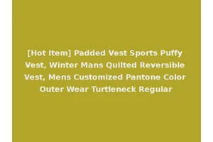[Hot Item] Padded Vest Sports Puffy Vest, Winter Mans Quilted Reversible Vest, Mens Customized Pantone Color Outer Wear Turtleneck Regular
