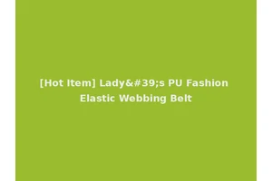 [Hot Item] Lady's PU Fashion Elastic Webbing Belt