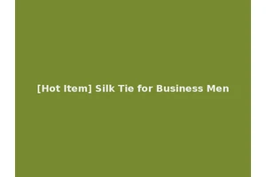 [Hot Item] Silk Tie for Business Men