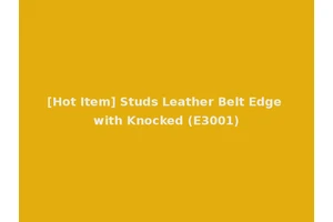 [Hot Item] Studs Leather Belt Edge with Knocked (E3001)