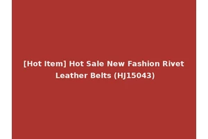 [Hot Item] Hot Sale New Fashion Rivet Leather Belts (HJ15043)