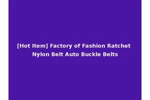 [Hot Item] Factory of Fashion Ratchet Nylon Belt Auto Buckle Belts