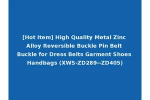 [Hot Item] High Quality Metal Zinc Alloy Reversible Buckle Pin Belt Buckle for Dress Belts Garment Shoes Handbags (XWS-ZD289--ZD405)