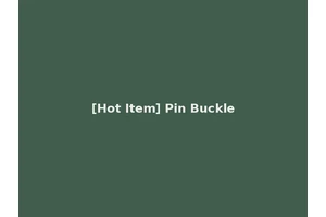 [Hot Item] Pin Buckle