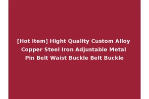[Hot Item] Hight Quality Custom Alloy Copper Steel Iron Adjustable Metal Pin Belt Waist Buckle Belt Buckle