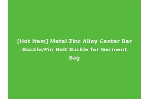 [Hot Item] Metal Zinc Alloy Center Bar Buckle/Pin Belt Buckle for Garment Bag