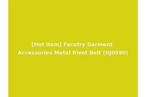[Hot Item] Facotry Garment Accessories Metal Rivet Belt (HJ0590)