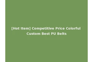 [Hot Item] Competitive Price Colorful Custom Best PU Belts
