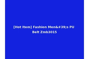 [Hot Item] Fashion Men's PU Belt Zmb3015