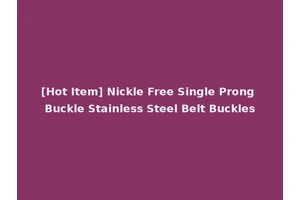 [Hot Item] Nickle Free Single Prong Buckle Stainless Steel Belt Buckles