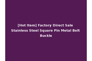 [Hot Item] Factory Direct Sale Stainless Steel Square Pin Metal Belt Buckle