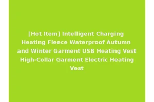 [Hot Item] Intelligent Charging Heating Fleece Waterproof Autumn and Winter Garment USB Heating Vest High-Collar Garment Electric Heating Vest