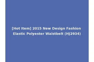 [Hot Item] 2015 New Design Fashion Elastic Polyester Waistbelt (HJ2934)