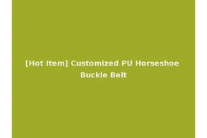 [Hot Item] Customized PU Horseshoe Buckle Belt