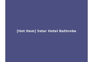 [Hot Item] 5star Hotel Bathrobe
