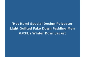 [Hot Item] Special Design Polyester Light Quilted Fake Down Padding Men's Winter Down Jacket