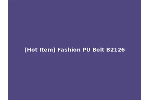 [Hot Item] Fashion PU Belt B2126