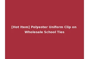 [Hot Item] Polyester Uniform Clip on Wholesale School Ties