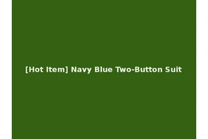 [Hot Item] Navy Blue Two-Button Suit