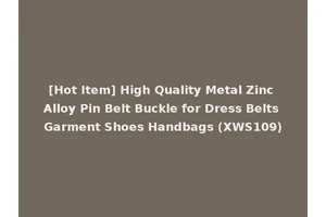 [Hot Item] High Quality Metal Zinc Alloy Pin Belt Buckle for Dress Belts Garment Shoes Handbags (XWS109)
