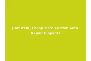 [Hot Item] Cheap Mass Custom Auto Repair Bibpants