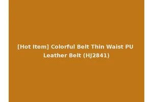 [Hot Item] Colorful Belt Thin Waist PU Leather Belt (HJ2841)