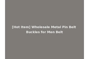 [Hot Item] Wholesale Metal Pin Belt Buckles for Men Belt