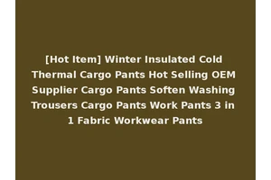 [Hot Item] Winter Insulated Cold Thermal Cargo Pants Hot Selling OEM Supplier Cargo Pants Soften Washing Trousers Cargo Pants Work Pants 3 in 1 Fabric Workwear Pants